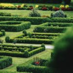Gardening Budget - green grass field during daytime