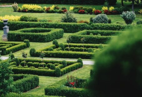 Gardening Budget - green grass field during daytime