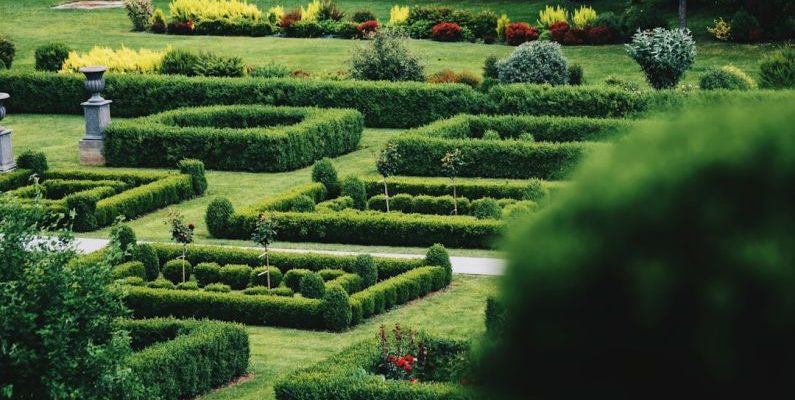 Gardening Budget - green grass field during daytime