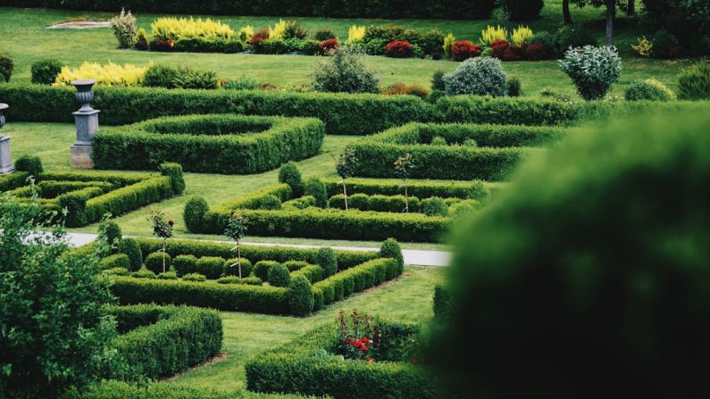 Gardening Budget - green grass field during daytime