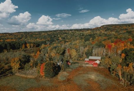 Seasonal Getaway - red and white house surrounded by trees under blue sky during daytime