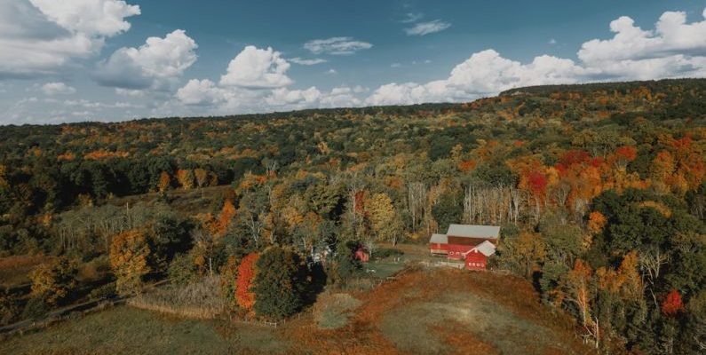 Seasonal Getaway - red and white house surrounded by trees under blue sky during daytime