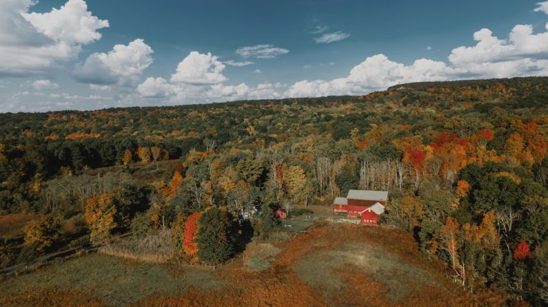 Seasonal Getaway - red and white house surrounded by trees under blue sky during daytime