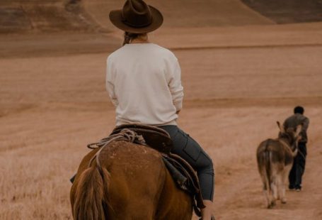 Buying Guide - A woman riding a horse down a dirt road