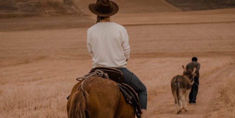 Buying Guide - A woman riding a horse down a dirt road
