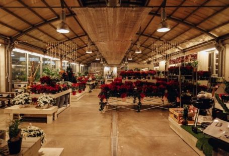 Warehouse Sale - Assorted Flowers on Rack Inside Building