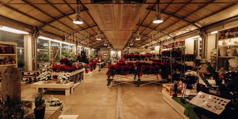 Warehouse Sale - Assorted Flowers on Rack Inside Building