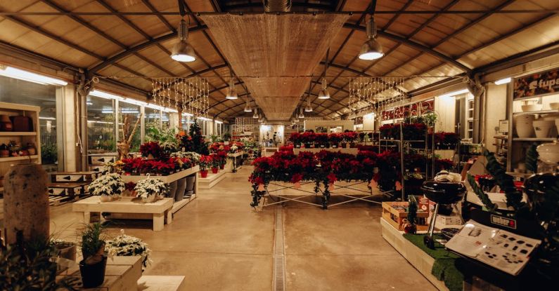 Warehouse Sale - Assorted Flowers on Rack Inside Building