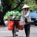 Daily Deal - a woman pushing a cart filled with lots of produce