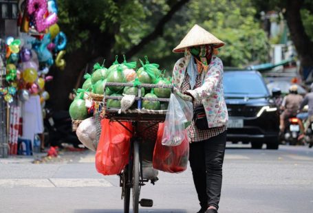 Daily Deal - a woman pushing a cart filled with lots of produce