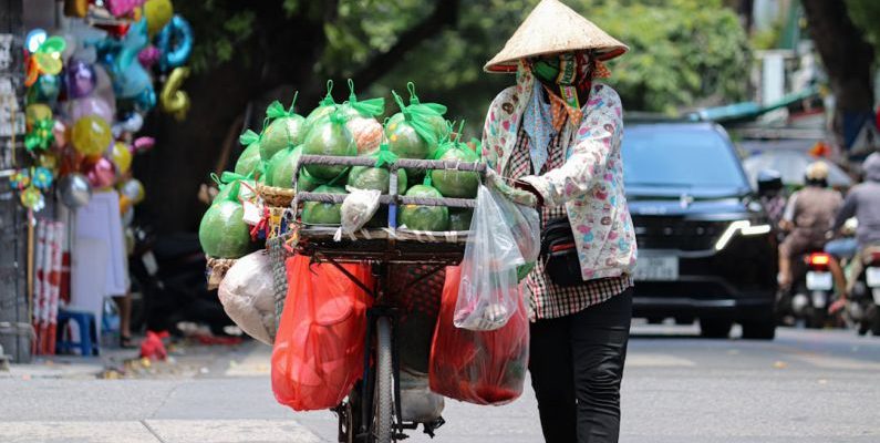 Daily Deal - a woman pushing a cart filled with lots of produce