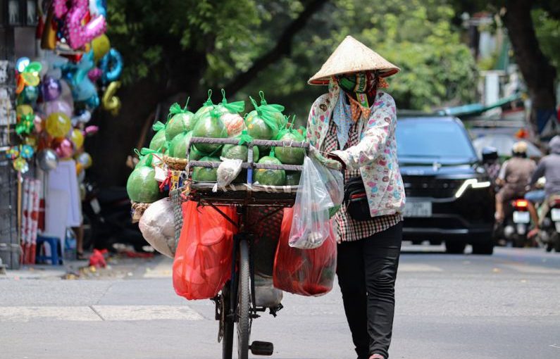 Daily Deal - a woman pushing a cart filled with lots of produce
