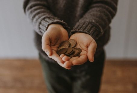 Leftovers Saving - copper-colored coins on in person's hands