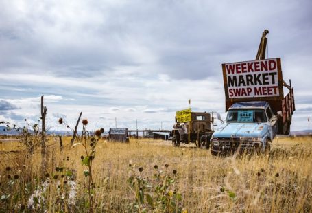 Meal Swap - blue and white car on brown grass field under white clouds during daytime